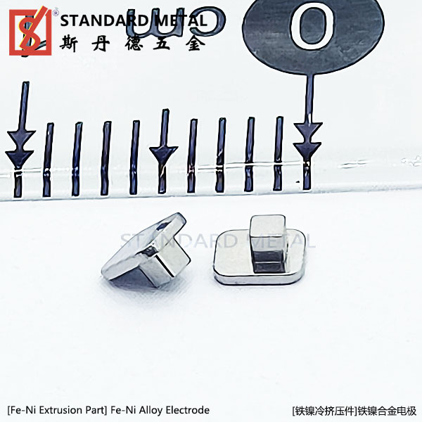 Fe-Ni Alloy Parts(Electrode)